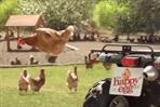 Happy Egg Co: ad campaign is cleared by the ASA