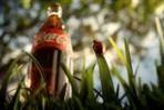 Coca Cola: Latest Open Happiness ad features a heist by ladybugs, grasshoppers and bees