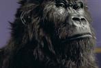 Cadbury: Gorilla creater Phil Rumbol to leave