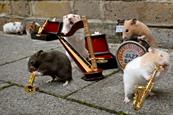 The Clever Hamsters...jazz band to appear in new Drench ad