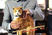  Mars-Wrigley... awards £80m media buying to ZenithOptimedia