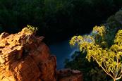 Australian Bush: Jamie Neale survived 12 days