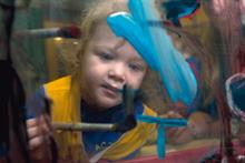 Art in the Early Years: Part 1 - Introduction Art in the Early Years: Part 1 - Introduction