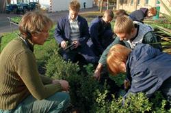 Field work: the diploma will begin this September and will allow hands-on learning. Image: HW