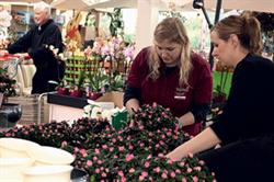 Making progress: job options in business horticulture range from growing fruit to selling flowers. Image: HW