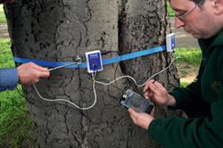Measure of success: looking after trees is becoming an increasingly high-tech job. Image: HW