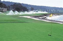 Automatic irrigation: an adjustable computer-controlled system anticipates dry periods and sprays accordingly. Image: Rain Bird