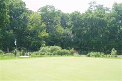 Chicago: Jackson park is fringed by allotments Image: Pamela Smith