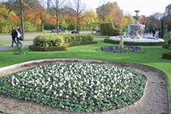 Regent's Park: the sell-off of nearby land helped finance the park. Image: HW