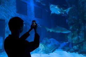Sea Life London Aquarium relaunches events offer