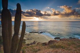 The FCO advises against all but essential travel to Mexico due to the swine flu outbreak