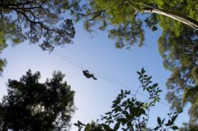 South Africa: six of the best sustainable event options