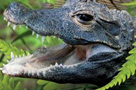 Sea Life London Aquarium opens Rainforests of the World area