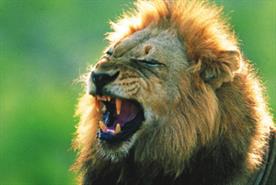 African incentives: continental diversity
