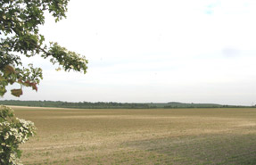 Hanley Grange: uncertain future