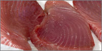 Tuna