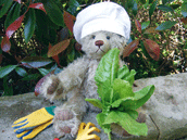 Mr Willow is a keen chef and gardener