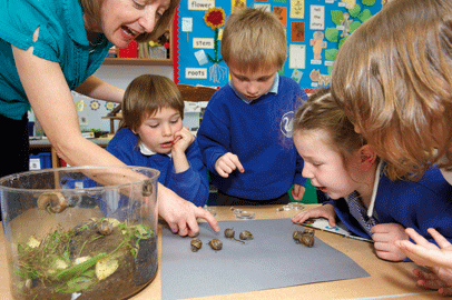 Creepy crawlies: teachers should be encouraging