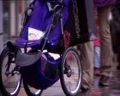 Buggy research features in ITV show