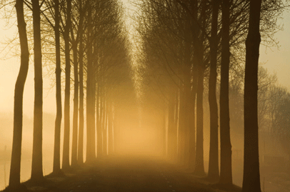 Analysis: Providers wait for mists to clear on early years landscape