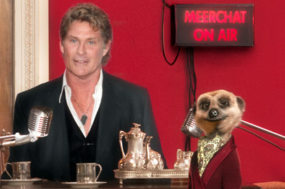 Meerchat...Aleksandr the Meerkat with David Hasselhoff