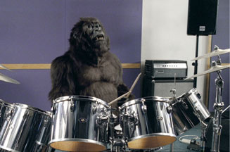 Animal charity viral apes Cadbury gorilla ad
