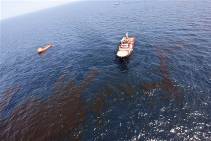 BP crisis: BP crisis: consumers venting feelings online