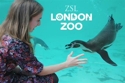 Arena scoops £2m ZSL media account