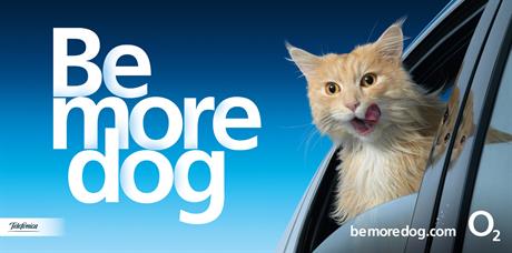 Campaign of the Year 2013: O2 'be more dog' | Advertising news | Campaign