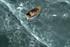 Twinings 'gets you back to you' by AMV BBDO