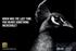 Asus and Intel 'in search of incredible' by Kitcatt Nohr Digitas 