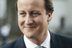 Controversial comments: David Cameron