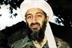 Bin Laden death: Cameron's 'cautious' approach praised (Rex features)