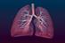RCGP Curriculum - 15.8 Respiratory Problems