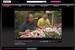 iPlayer: part of agency-seeking Project Canvas