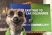 Comparethemarket... campaign of the year