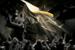 McDonald's 'no fry left behind' by DDB
