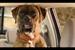 Toyota SA 'buddy' by Draftfcb Johannesburg