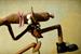 Peperami…Animal gets skewered