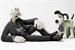 Wallace & Gromit...Harvey Nichols campaign takes Yellow Pencil