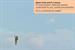 Financial Times 'essential' by DDB UK