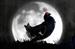 Black Grouse 'stormy night' by AMV BBDO