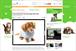 More Th>n to sponsor MSN pet portal