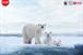 Coca Cola: partnering with the WWF