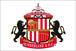 Sunderland AFC: football club appoints Mke Farnan to international marketing role