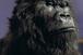 Cadbury: Gorilla creater Phil Rumbol to leave