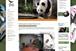 Lynx Attract: promotes product on live feed from Edinburgh Zoo's panda cam