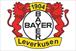 Bayer 04 Leverkusen: German football club seeks shirt sponsor via FT ad