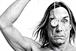 Swiftcover: Iggy Pop campaign