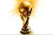 TV coverage: FIFA World Cup finals on current Group A list
